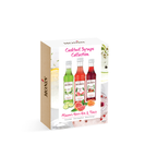 Monin Syrup Gin Gift Set