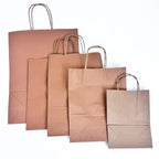 Brown paper bag with Twisted Handles