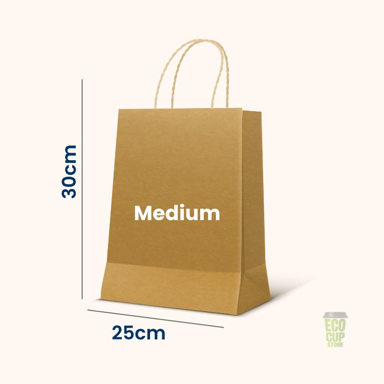 Brown paper bag with Twisted Handles